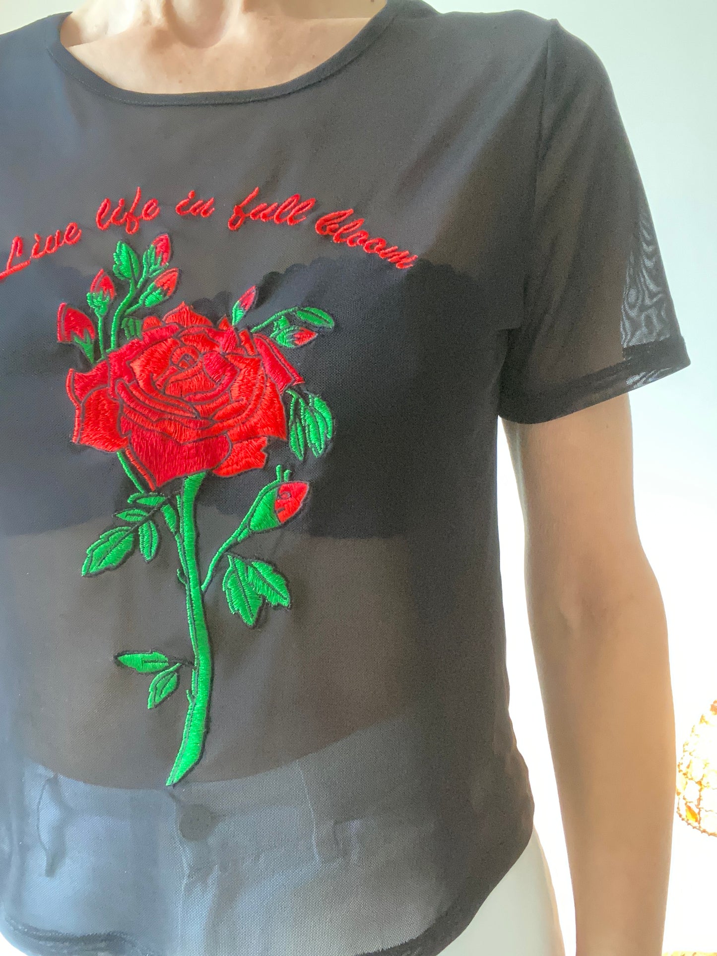 Y2K Transparent mesh Black & Roses Top