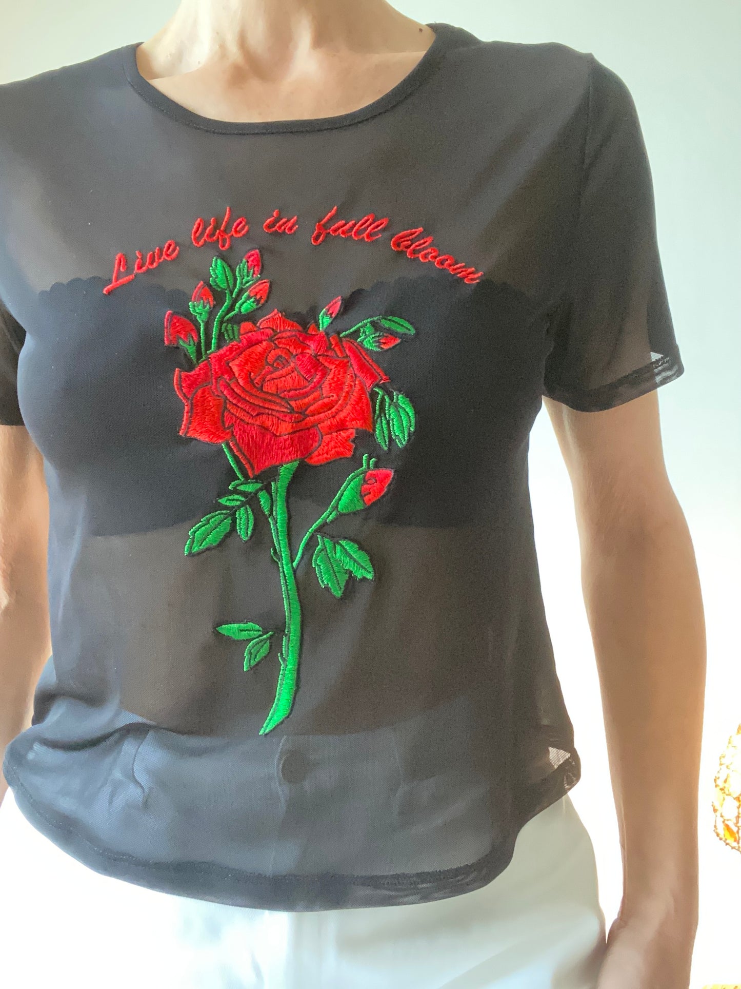 Y2K Transparent mesh Black & Roses Top